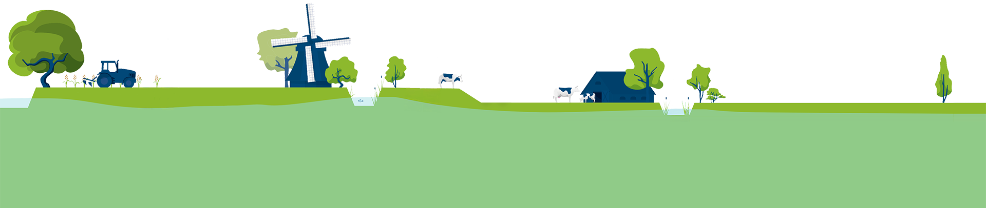 Dijk infographic transparant