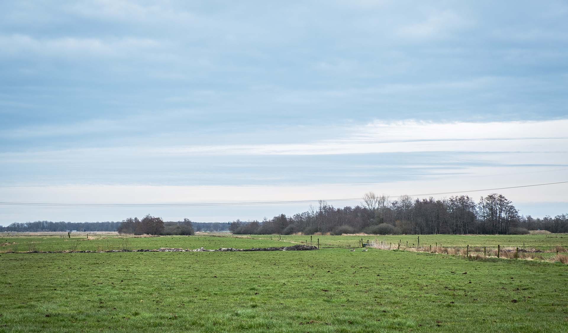 Landschap achtergrond van een weiland in Groningen